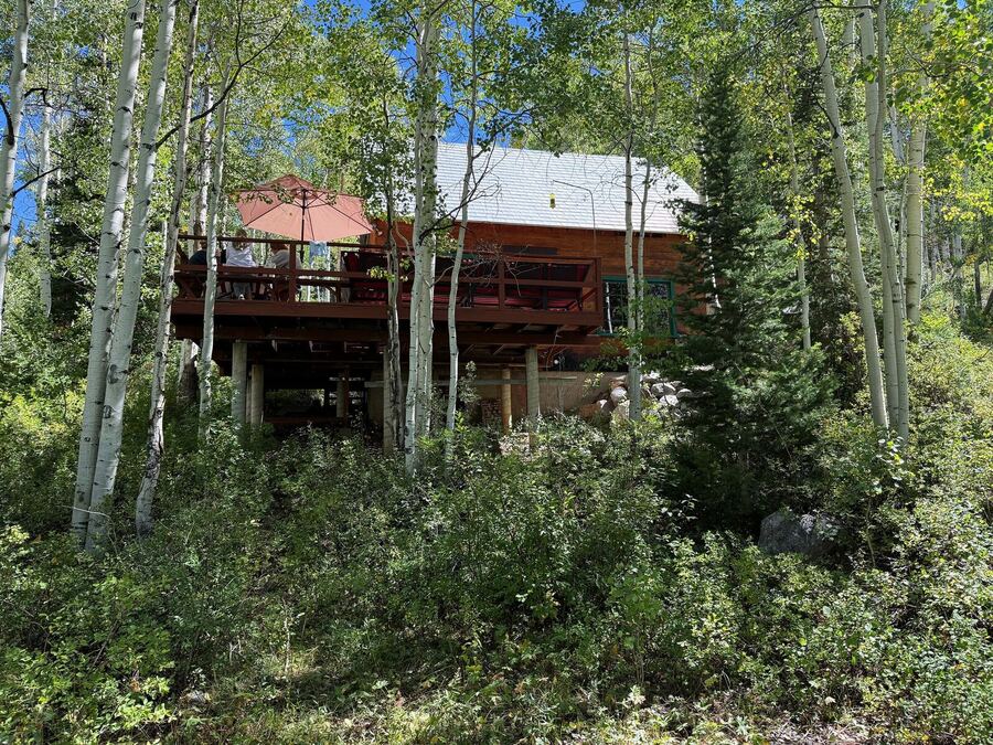 The cabin seen from below the driveway, deck and roofline visible through the trees