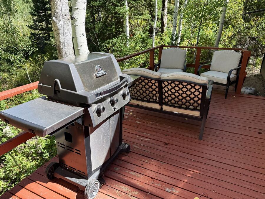Gas grill and cushioned chairs on the side deck among aspens